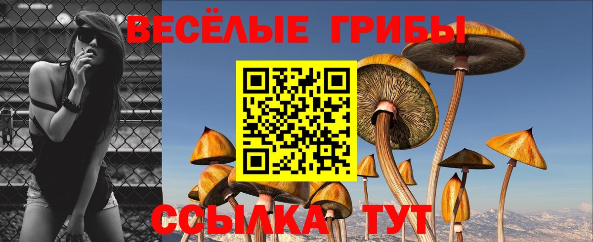 Галлюциногенные грибы MAGIC MUSHROOMS  Вход с VPN  Осинники 
